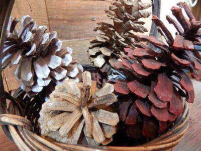 Painted Pine Cones Decor